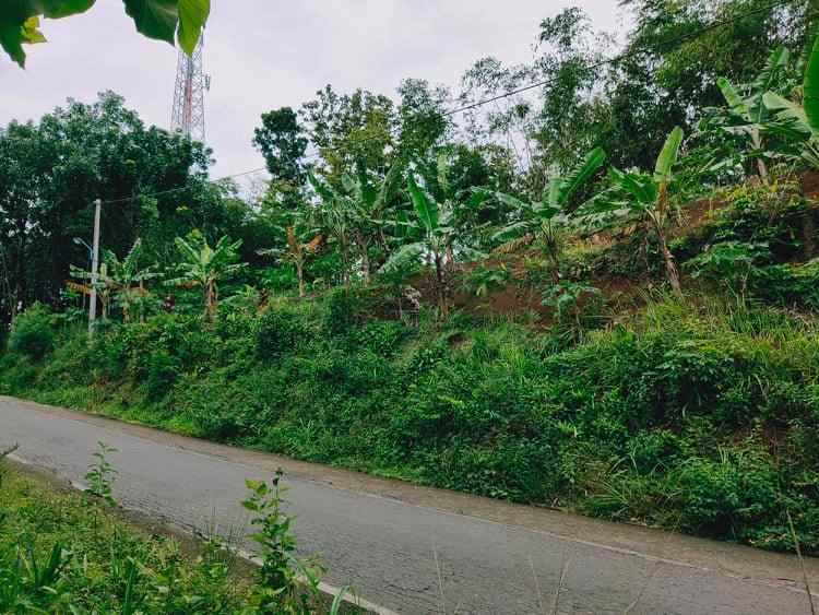 tanah tepi jl raya kerjo