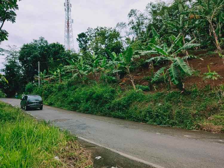 tanah tepi jl raya kerjo