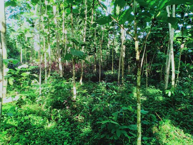 tanah utara kantor kecamatan