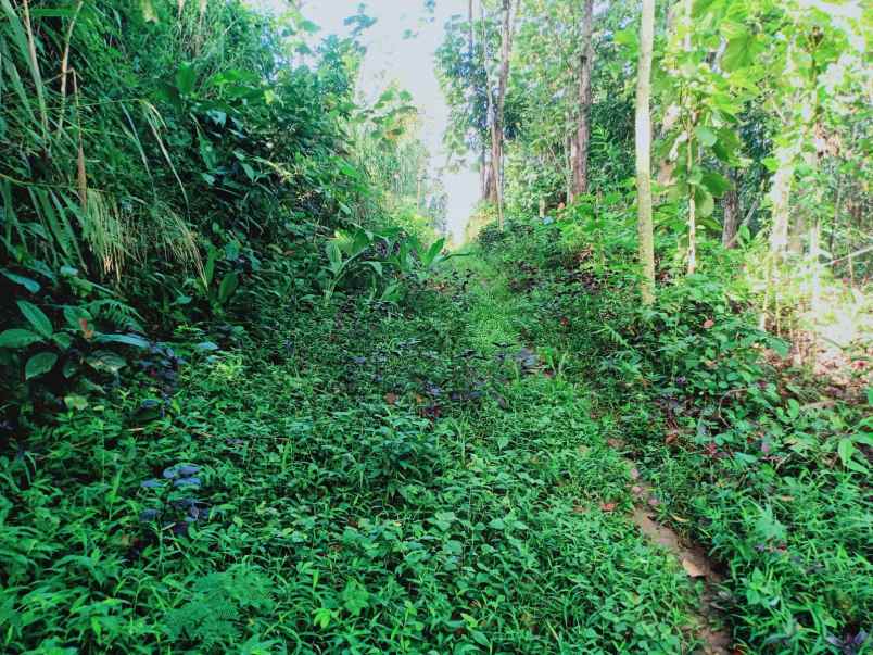 tanah utara kantor kecamatan