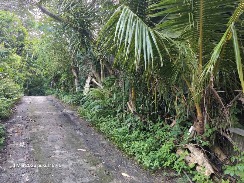 tanah view laut di belimbing sari uluwatu pecatu bali