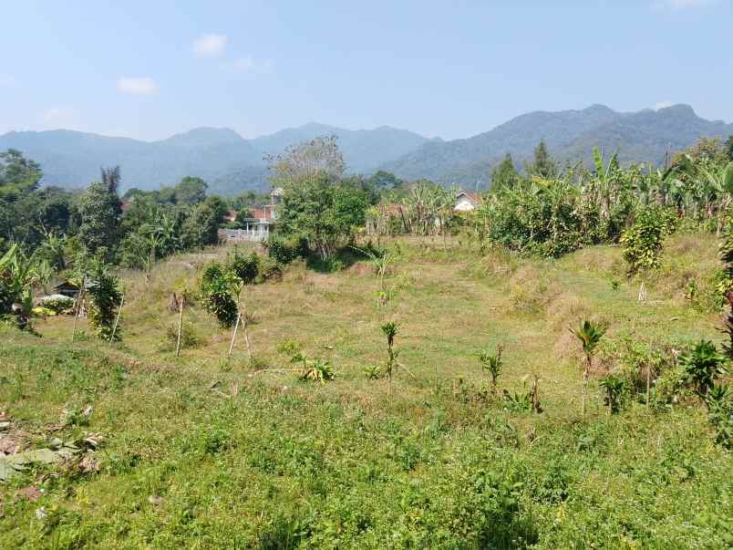 tanah view pegunungan ciater dekat wisata subang