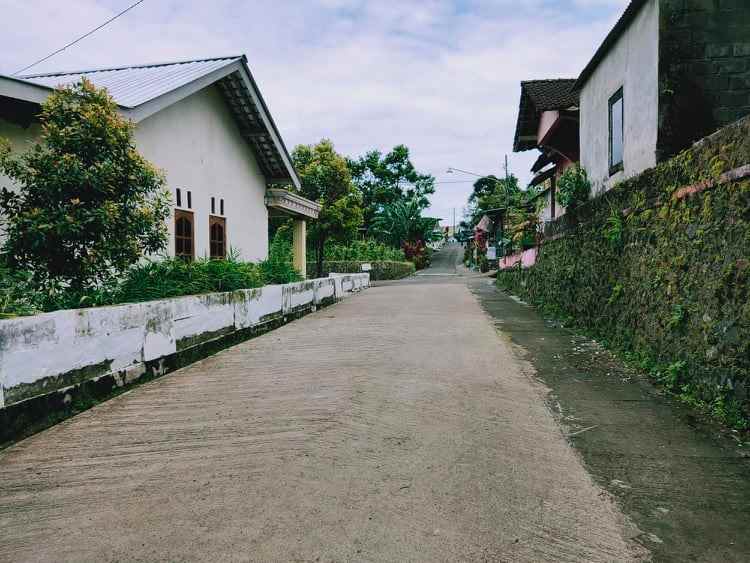 tanah wisata alam kebun teh