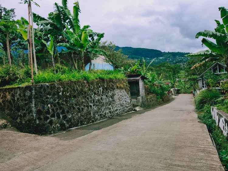 tanah wisata alam kebun teh