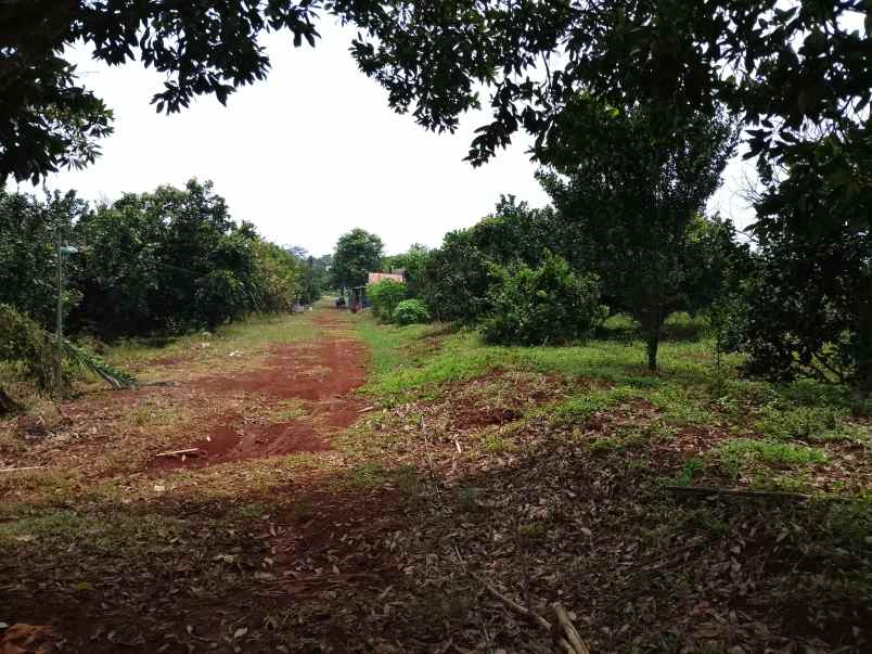 vila kebun jeruk produktif subang jawa barat