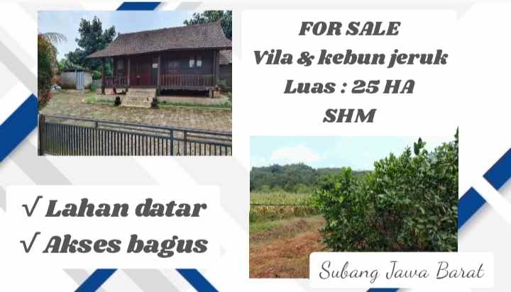 vila kebun jeruk produktif subang jawa barat