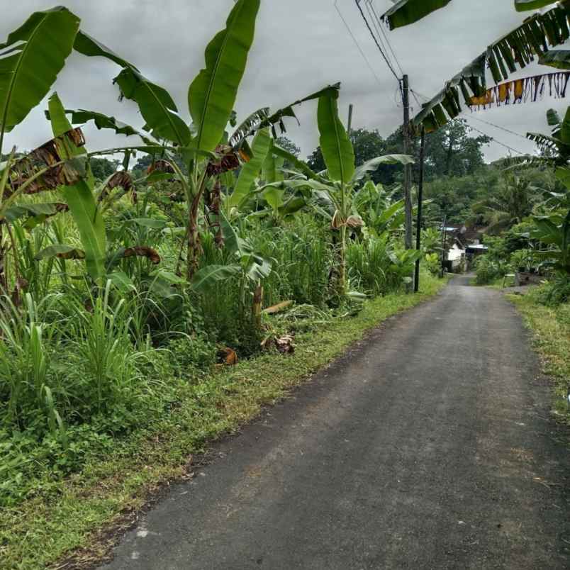 dijual 7 5 are jl anyelir wanasara bongan tabanan