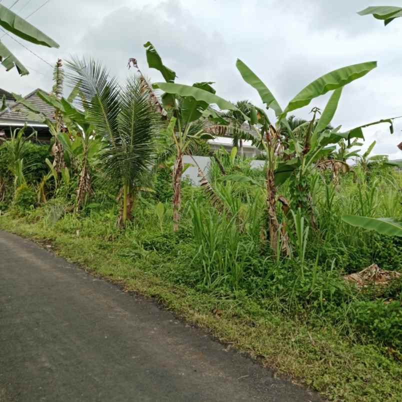 dijual 7 5 are jl anyelir wanasara bongan tabanan