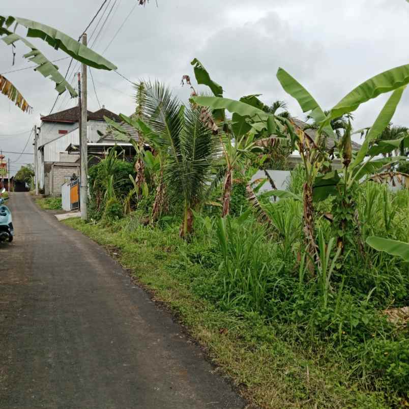 dijual 7 5 are jl anyelir wanasara bongan tabanan