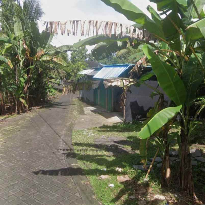 dijual 8 2 are jl ratna werdi bhuwana mengwi badung