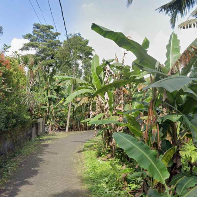 dijual 8 2 are jl ratna werdi bhuwana mengwi badung