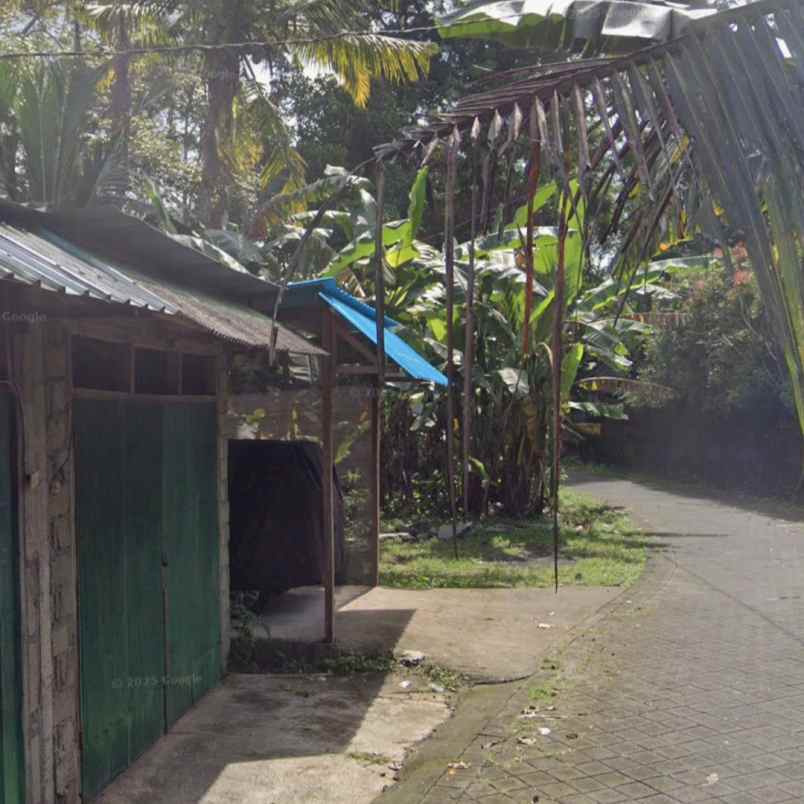 dijual 8 2 are jl ratna werdi bhuwana mengwi badung