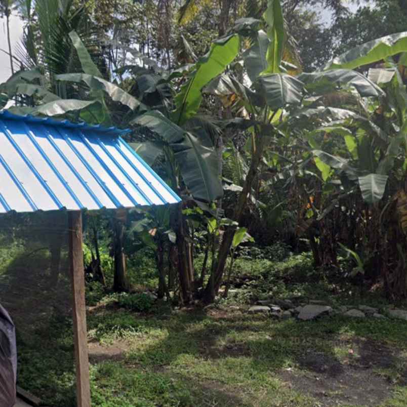 dijual 8 2 are jl ratna werdi bhuwana mengwi badung