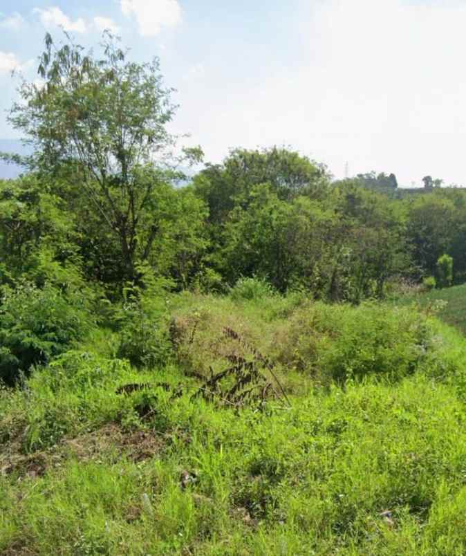 dijual atau take over tanah digarut