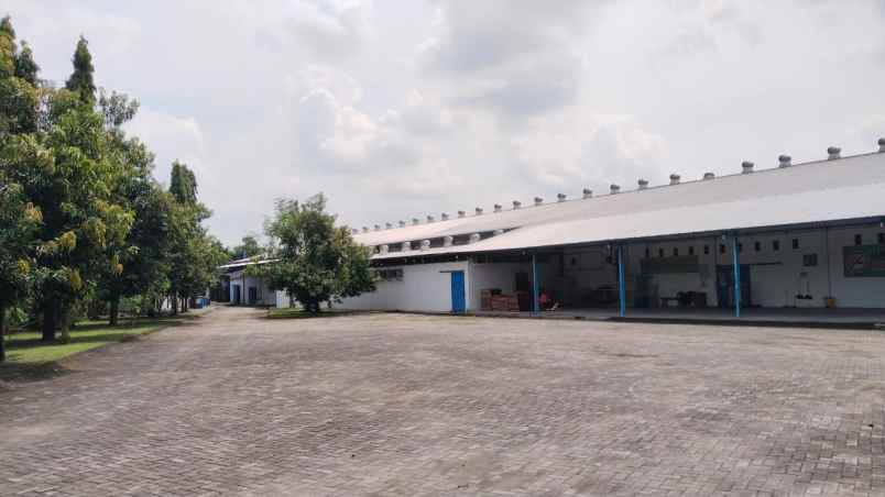 dijual disewakan gudang di kertosono