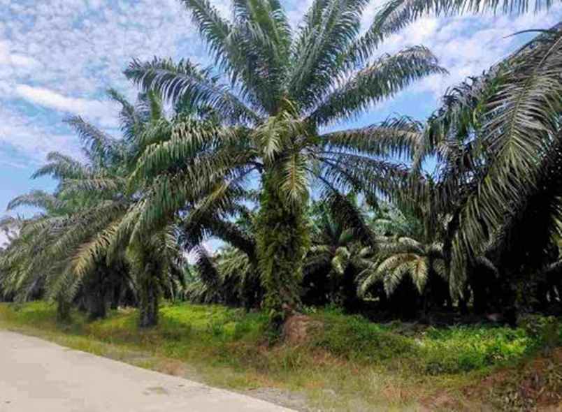 dijual ruko gudang kantor desa karossa kec karossa