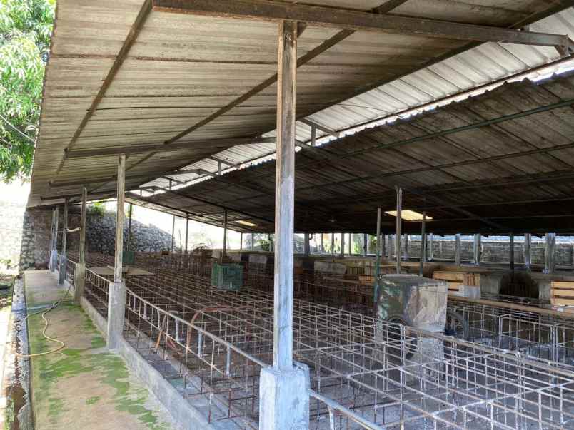 dijual ruko gudang kantor gunung sindur bogor