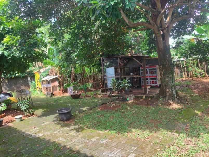 dijual ruko gudang kantor jalan madrasah rt 04 02