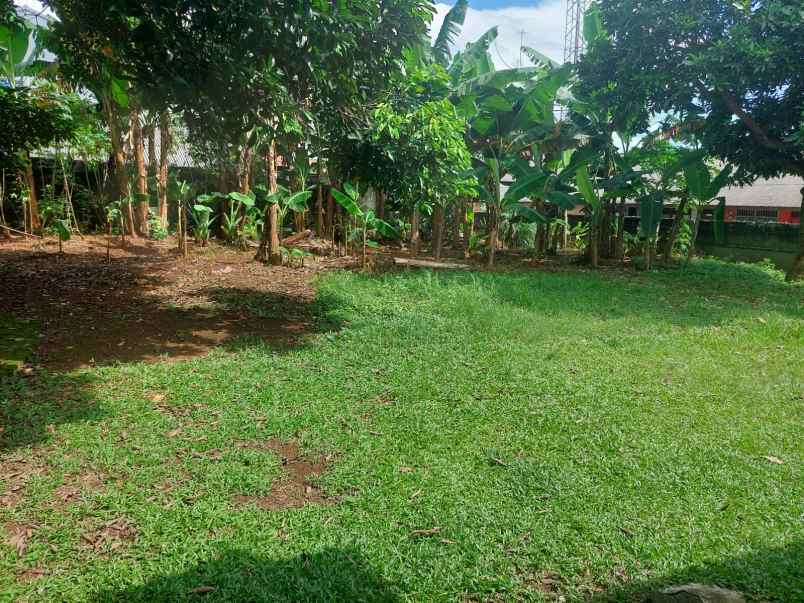 dijual ruko gudang kantor jalan madrasah rt 04 02