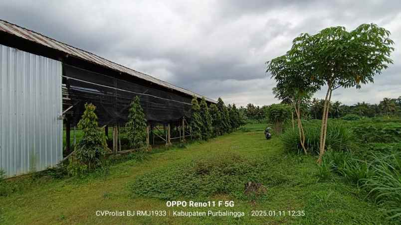 dijual ruko gudang kantor jl raya kutasari tobong