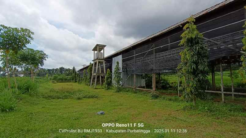 dijual ruko gudang kantor jl raya kutasari tobong