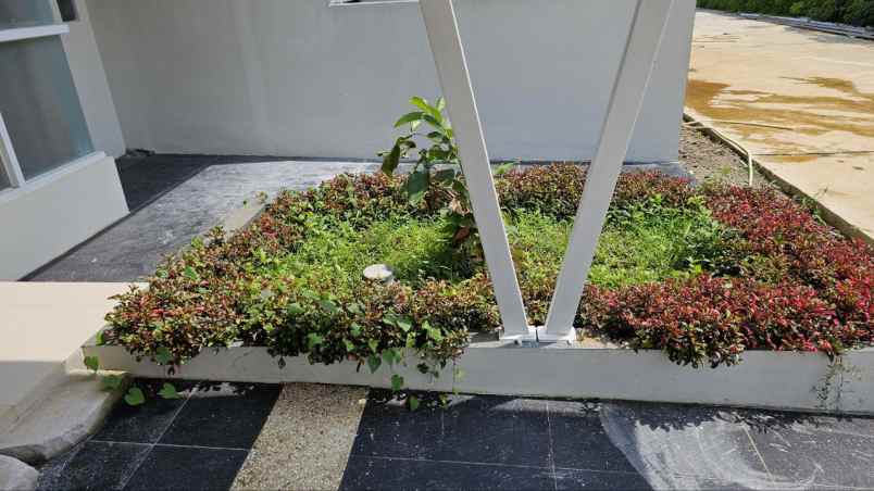 dijual rumah cilebut sukaraja kab bogor