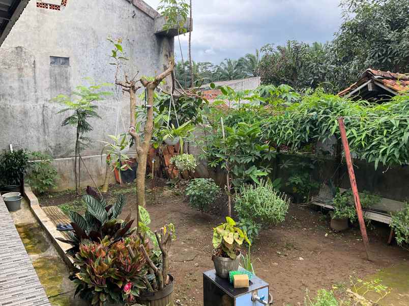 dijual rumah dekat pasar dan jalan utama