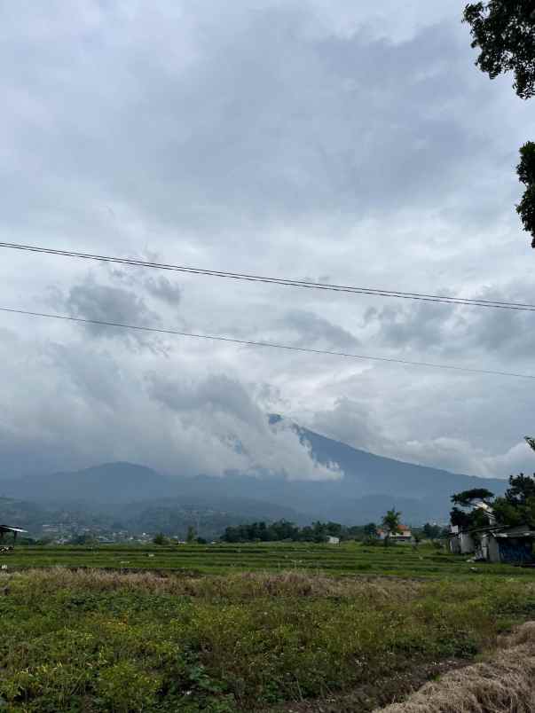 dijual rumah ds beru kec wlingi kab blitar