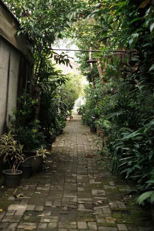 dijual rumah duren tiga