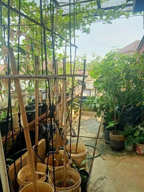 dijual rumah srengseng sawah