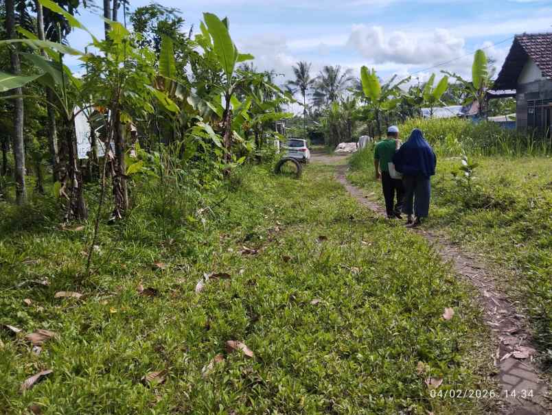 dijual tanah alan mangga desa sananrejo