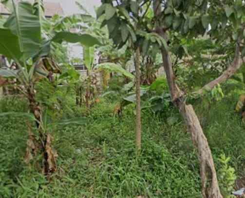 dijual tanah antabaru