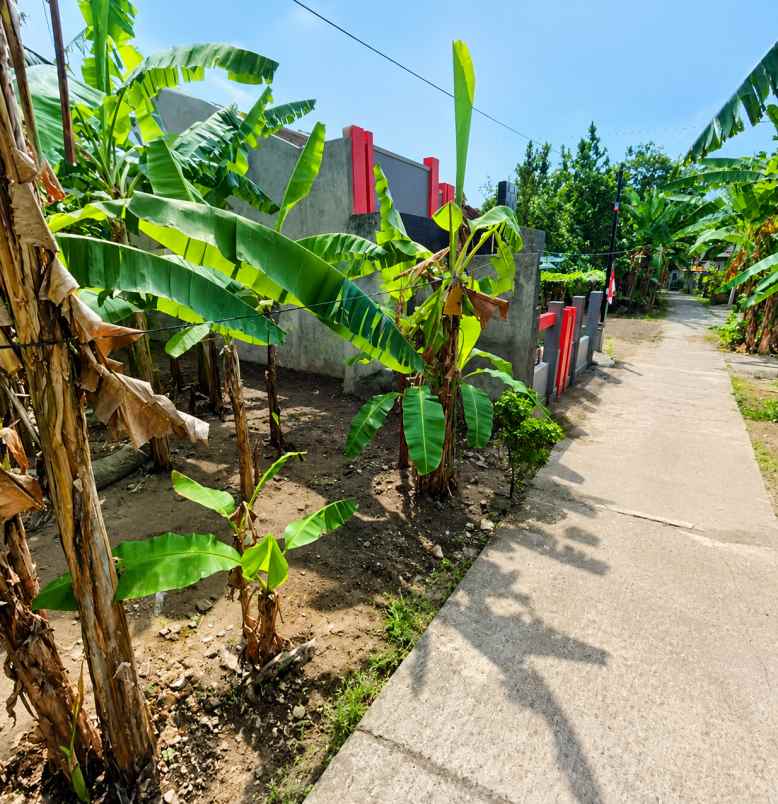dijual tanah bantul