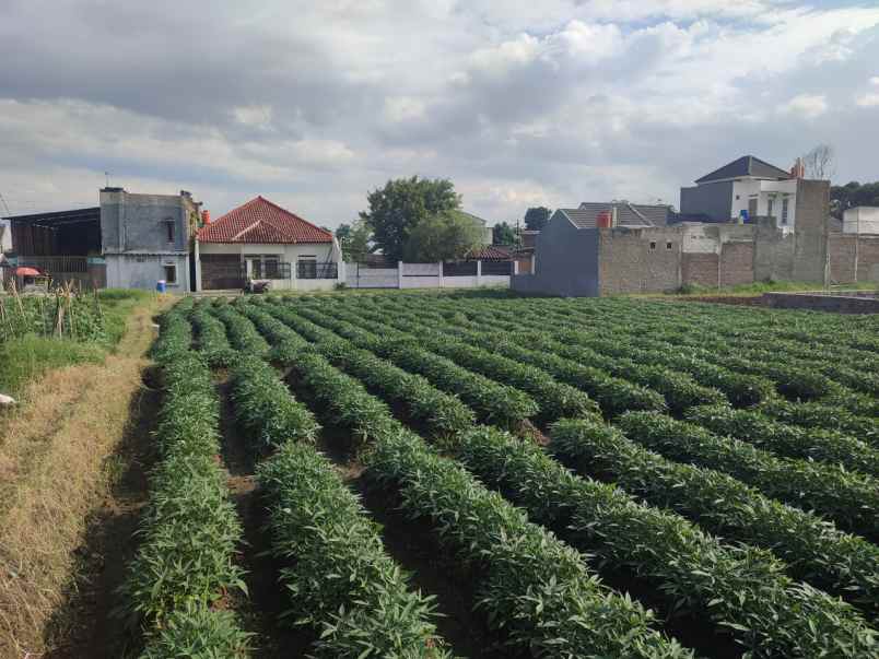 dijual tanah cibiru hilir