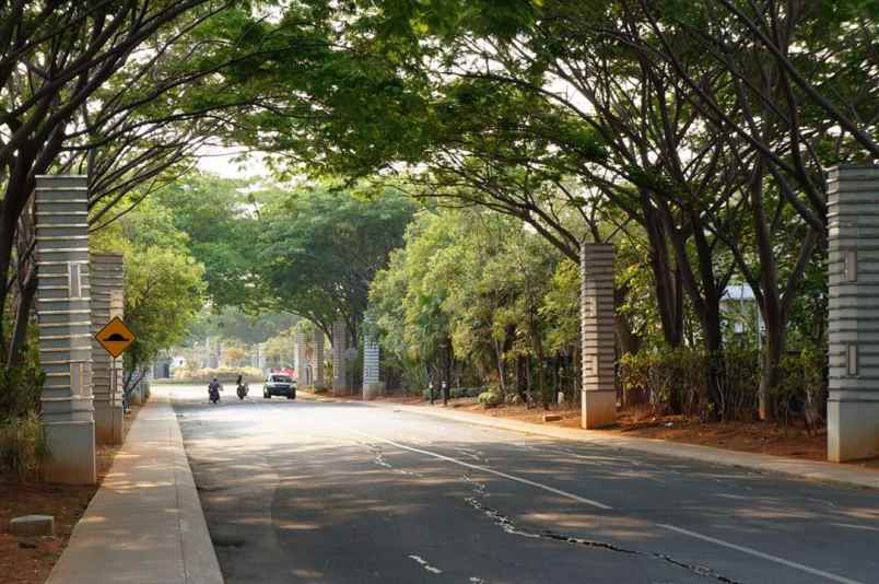 dijual tanah cluster palm spring jgc