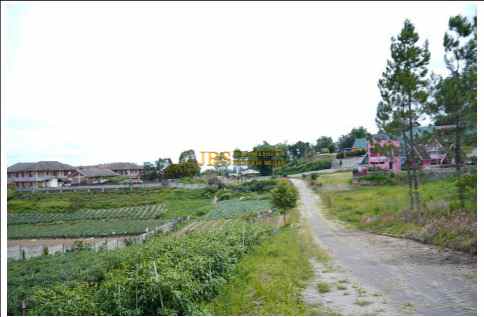 dijual tanah daerah puncak ringroad