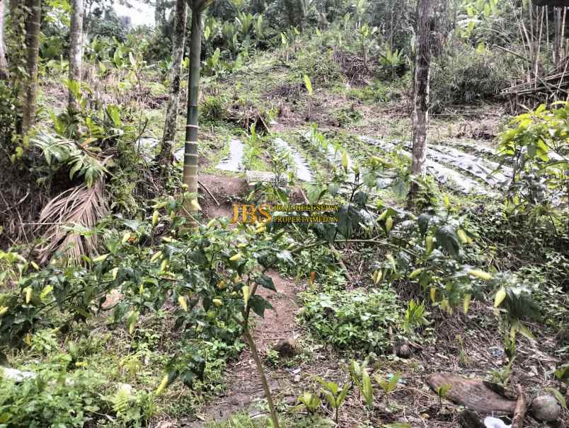 dijual tanah desa bengkurung jalan