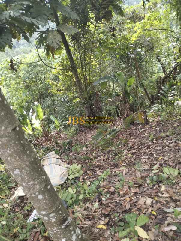 dijual tanah desa bengkurung jalan