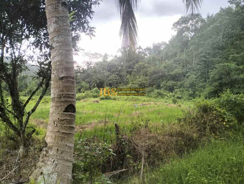 dijual tanah desa bengkurung jalan