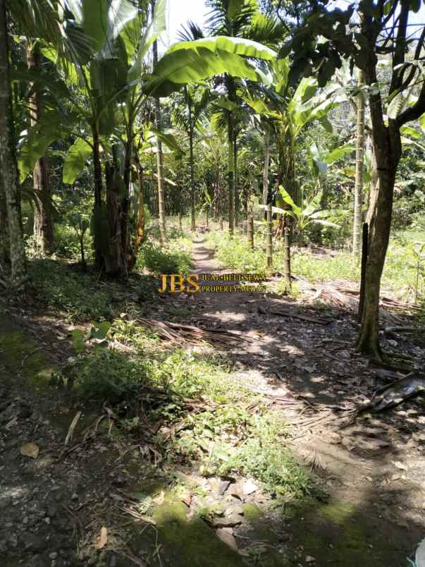 dijual tanah desa bengkurung jalan