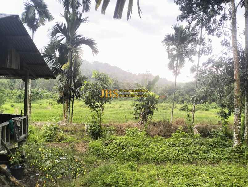 dijual tanah desa bengkurung jalan