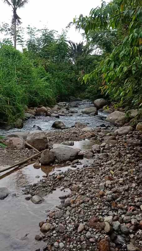 dijual tanah desa ketangkuhen