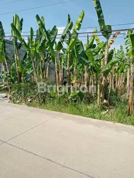 dijual tanah desa tegal kec tegalega