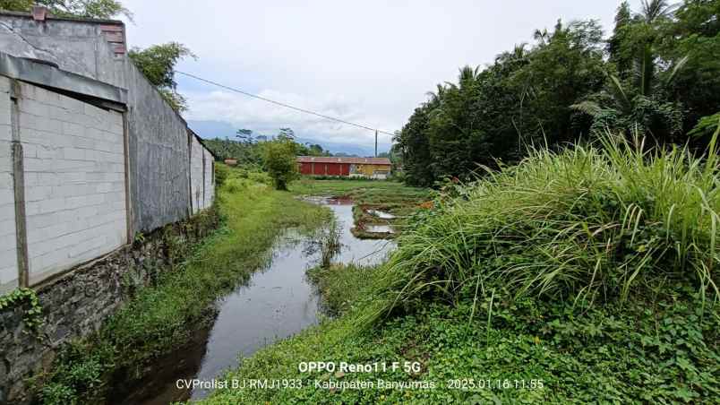 dijual tanah di cilongok 1 menit ke pasar cilongok