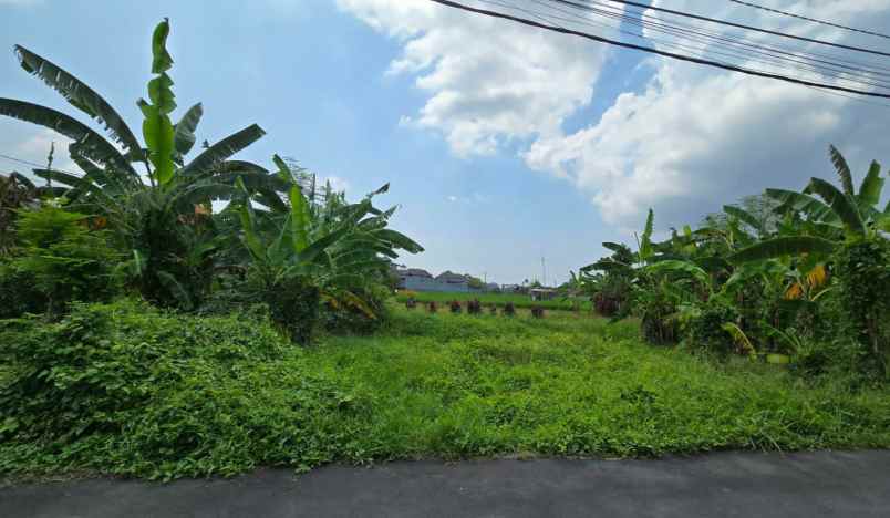 dijual tanah di dekat puspem badung bali