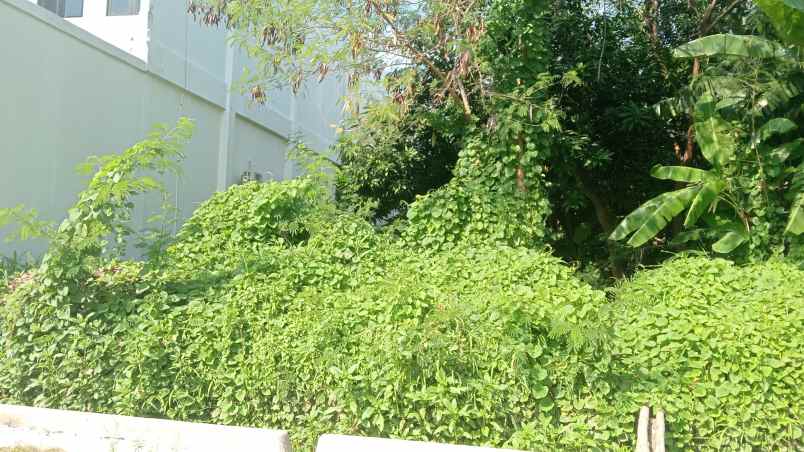 dijual tanah di pemuda