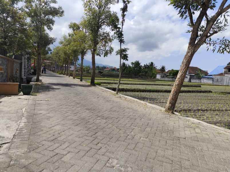 dijual tanah di pendem
