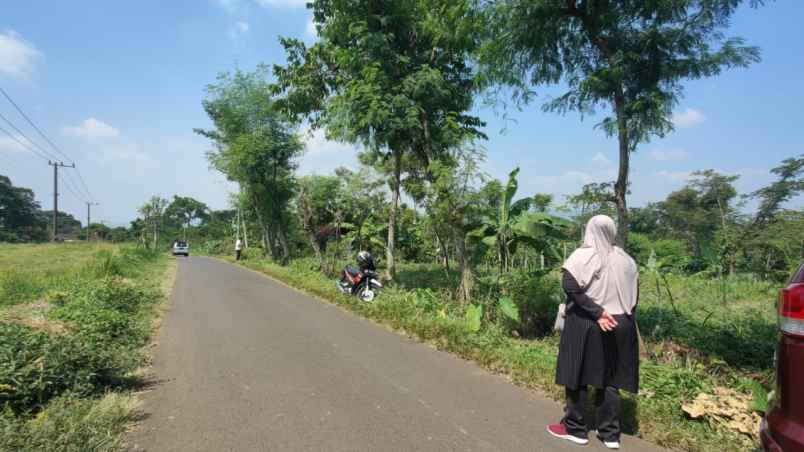 dijual tanah di purwodadi