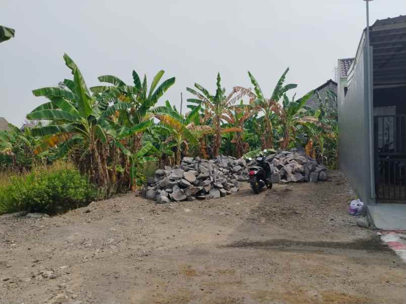 dijual tanah di tlogomulyo semarang