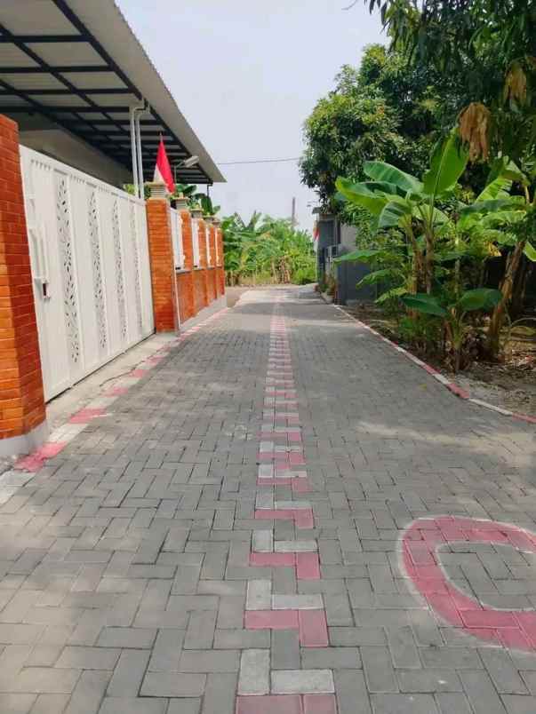 dijual tanah di tlogomulyo semarang